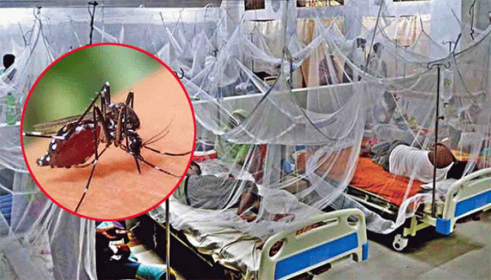 দেশে ডেঙ্গুতে আরও ১২ জনের মৃত্যু দেশে ডেঙ্গুতে আরও ১২ জনের মৃত্যু