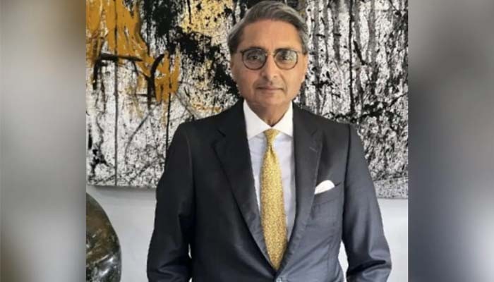 জিম্বাবুয়েতে উড়োজাহাজ দুর্ঘটনায় ভারতীয় ধনকুবের নিহত