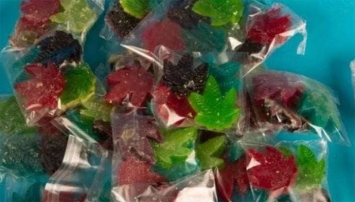 জ্যামাইকায় গাঁজার চকলেট খেয়ে ৬০ শিশু হাসপাতালে