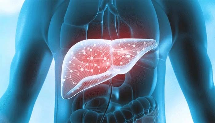 ফ্যাটি লিভারের সমস্যা কমাতে উপকারী যেসব সবজি ফ্যাটি লিভারের সমস্যা কমাতে উপকারী যেসব সবজি