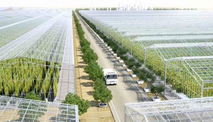 গিনেস ওয়ার্ল্ড রেকর্ডসে নাম লেখাল সৌদি আরব