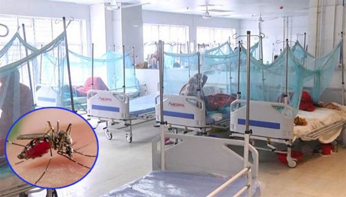 দেশে ডেঙ্গুতে আক্রান্ত আড়াই লাখ ছাড়াল দেশে ডেঙ্গুতে আক্রান্ত আড়াই লাখ ছাড়াল