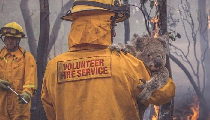 প্রচণ্ড গরমে অস্ট্রেলিয়ায় দাবানল