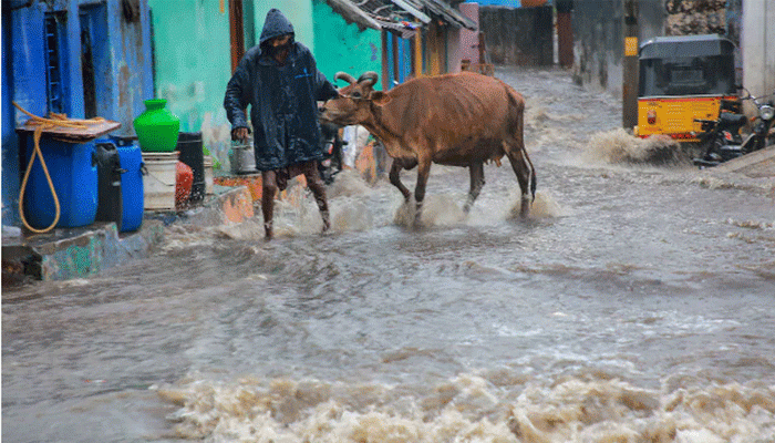 ভারী বর্ষণে তামিলনাড়ুতে বন্যা, স্কুল-কলেজ বন্ধ 