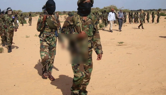 সোমালিয়ায় আল-শাবাবের হাতে জাতিসংঘ মিশনের হেলিকপ্টার আটক