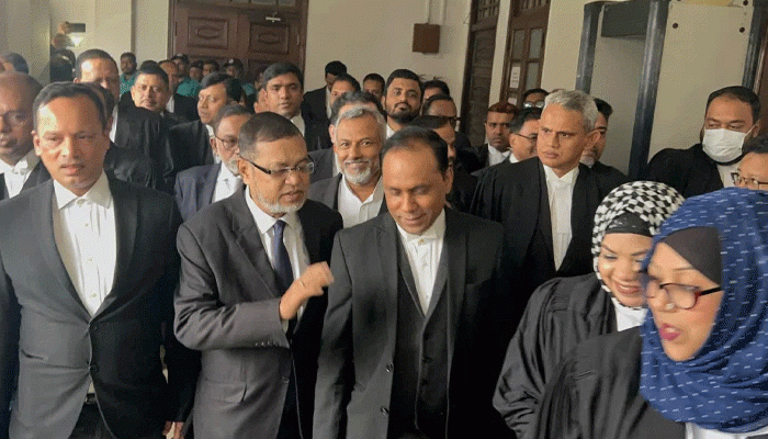 আদালতে হাজিরা দিয়েছেন বিএনপির সাত আইনজীবী