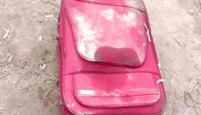 লাগেজে তরুণীর মৃতদেহ, নেই মাথা-পা লাগেজে তরুণীর মৃতদেহ, নেই মাথা-পা