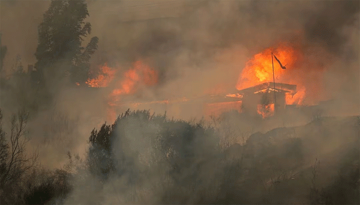 চিলিতে ভয়াবহ দাবানলে নিহত বেড়ে ৯৯, নিখোঁজ আরও শত শত