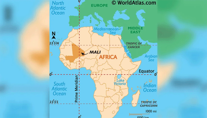 মালিতে সেতু থেকে বাস পড়ে নিহত ৩১  