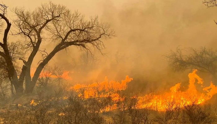 ভয়াবহ দাবানলে পুড়ছে টেক্সাস, ২ জনের মৃত্যু