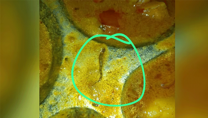 মেসের খাবারে মৃত সাপ, হাসপাতালে ১০ শিক্ষার্থী