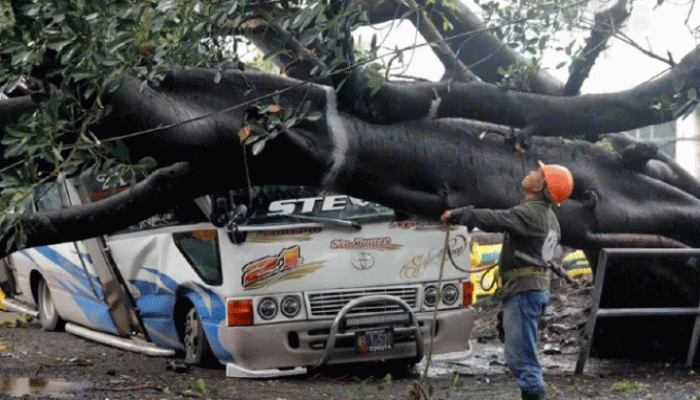 মধ্য আমেরিকায় ঝড়বৃষ্টিতে ৩০ জনের মৃত্যু