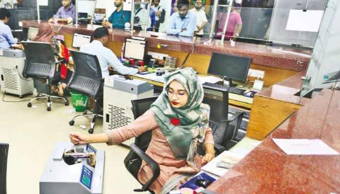 অভিভাবকহীন ব্যাংক খাতে বড় চ্যালেঞ্জ