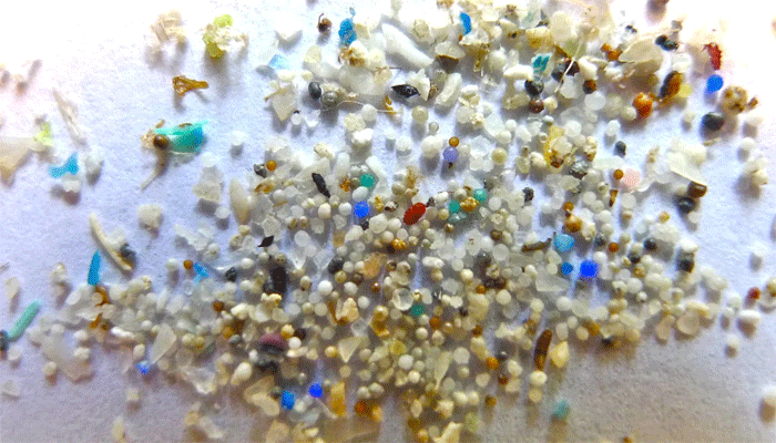 মাইক্রো প্লাস্টিক কীভাবে এটি মানবদেহে প্রবেশ করে? কী কী প্রভাব ফেলে?