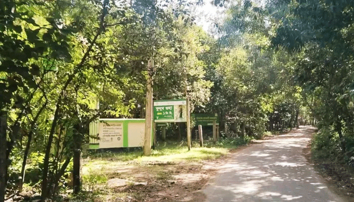 টেকনাফের হোয়াইক্যং-শামলাপুর সড়কে ডাকাতি, ৪ যাত্রী অপহরণ  টেকনাফের হোয়াইক্যং-শামলাপুর সড়কে ডাকাতি, ৪ যাত্রী অপহরণ