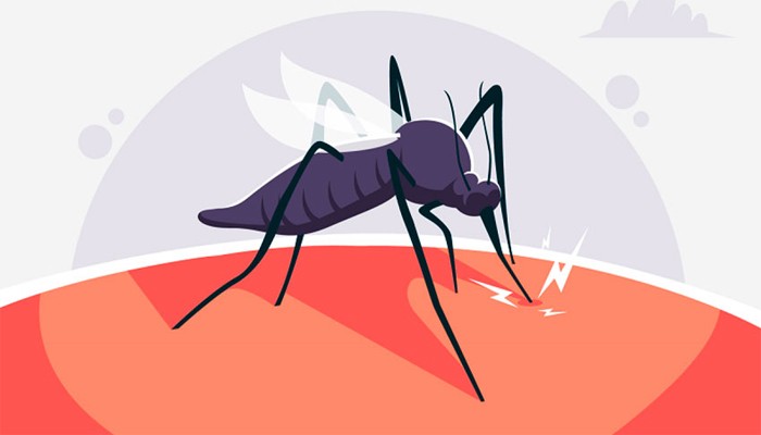 ডেঙ্গুতে একদিনে বছরের সর্বোচ্চ মৃত্যু ডেঙ্গুতে একদিনে বছরের সর্বোচ্চ মৃত্যু