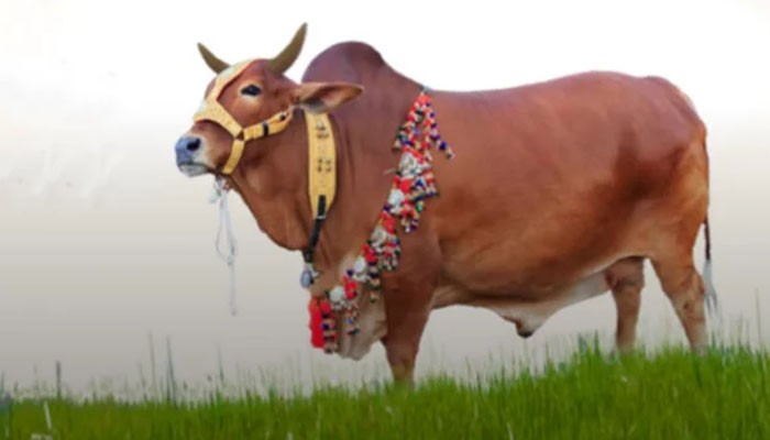 জমতে শুরু করেছে ঈদের বাজার