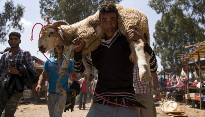 মরক্কোতে ঈদুল আজহায় পশু কোরবানি বন্ধ রাখার নির্দে শ মরক্কোতে ঈদুল আজহায় পশু কোরবানি বন্ধ রাখার নির্দে শ
