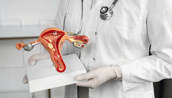 অন্ত্রের ব্যাকটেরিয়ার সঙ্গে প্রজনন সমস্যার সম্পর্ক ‘থাকতে পারে’ 