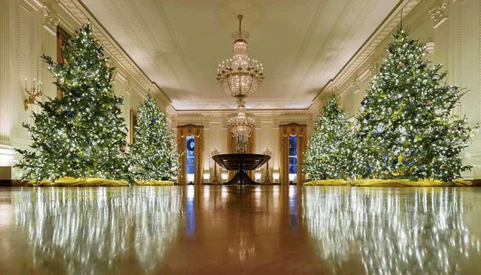 বড়দিনে হোয়াইট হাউজে স্বেচ্ছাসেবক হিসেবে কাজ করার সুযোগ বড়দিনে হোয়াইট হাউজে স্বেচ্ছাসেবক হিসেবে কাজ করার সুযোগ