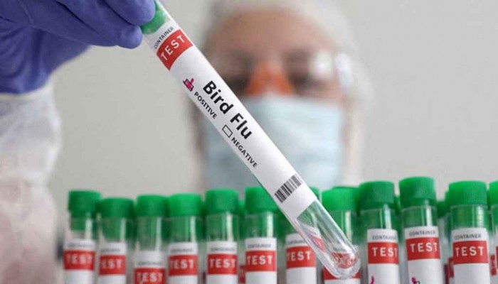 আবারও মাথাচাড়া দিয়েছে বার্ড ফ্লু, আক্রান্ত হয়েছে ৪ শিশু