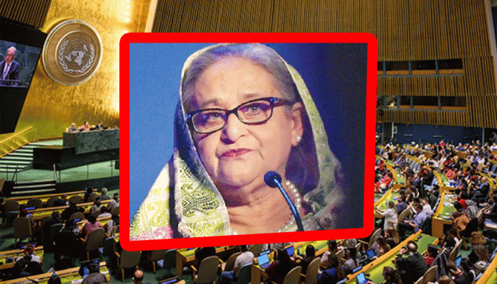 হাসিনাবিহীন নির্বাচনে জাতিসংঘের হ্যাঁ-না হাসিনাবিহীন নির্বাচনে জাতিসংঘের হ্যাঁ-না