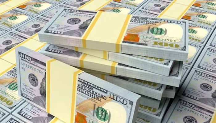 দেশে চলতি মাসের ২৯ দিনে রেমিট্যান্স এলো ২৪৩ কোটি ডলার