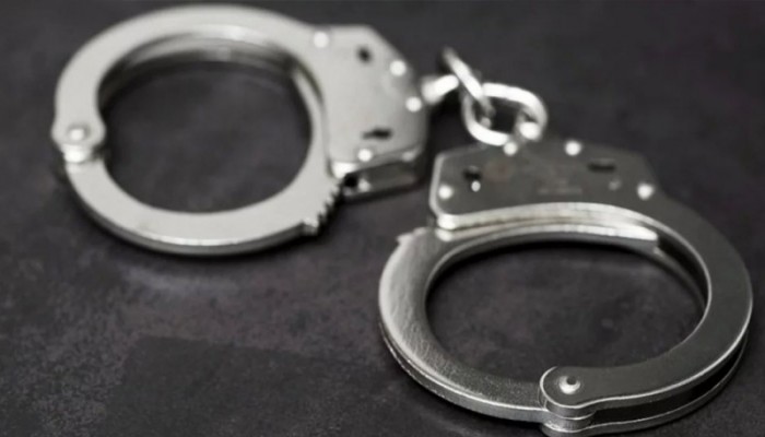 ঢাকাতে আ. লীগের ঝটিকা মিছিল, গ্রেপ্তার ২৯