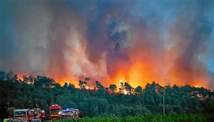 রেকর্ড তাপপ্রবাহে জ্বলছে ফ্রান্স, বাড়ছে দাবানল ও মৃত্যুর সংখ্যা
