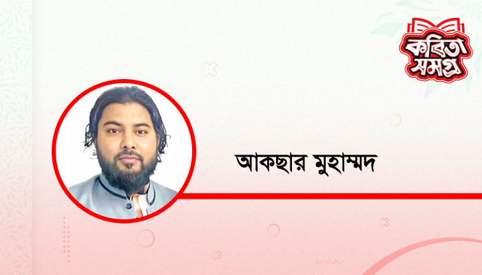 ​কাব্যের দরবেশ, দেবদ্রোহী, ভাটির কুমার
